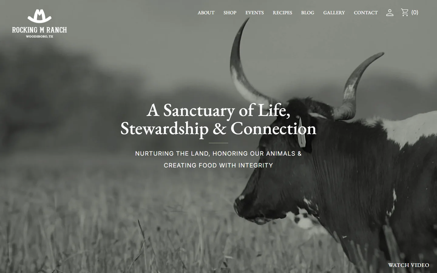 Full desktop page