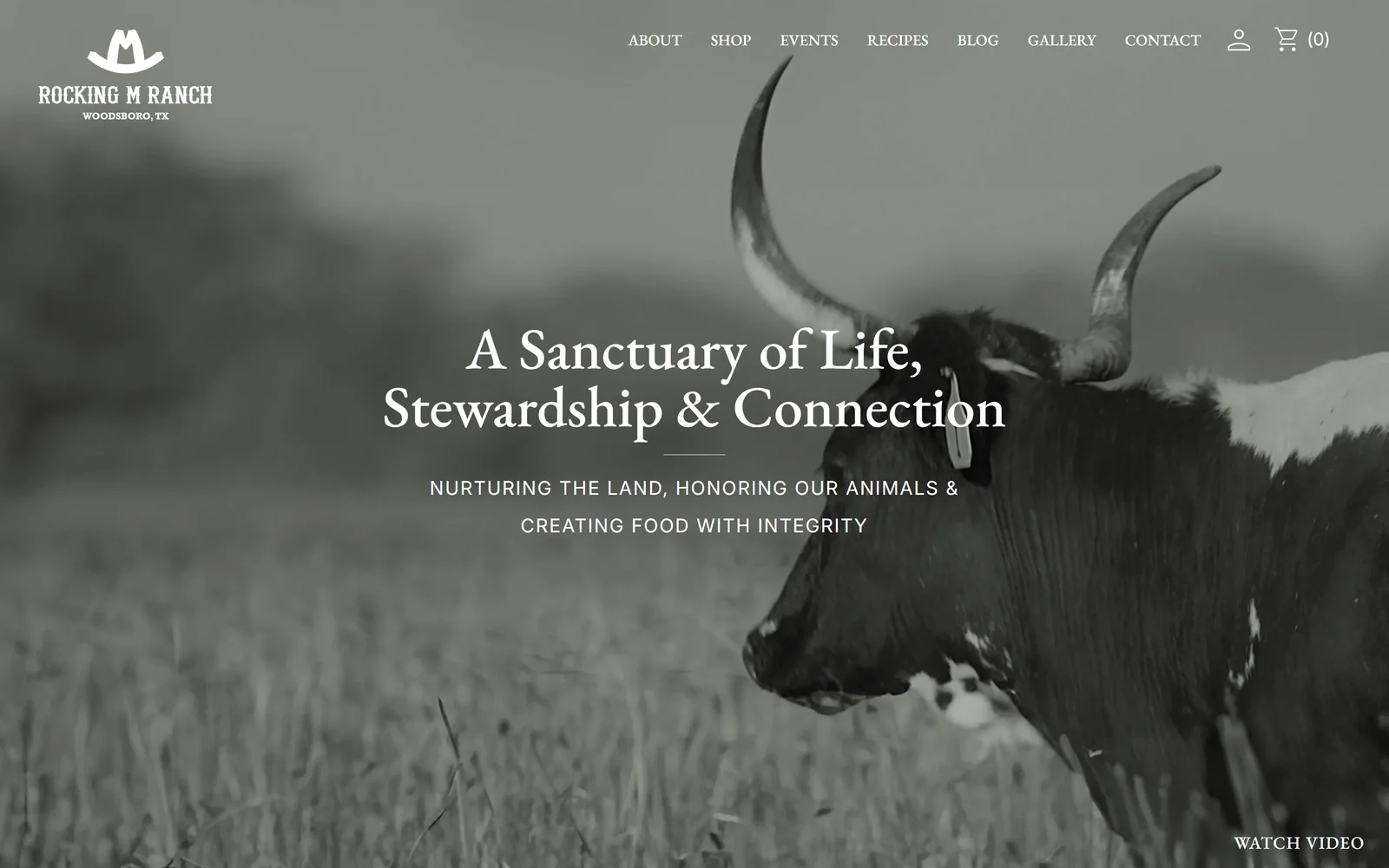 Rocking M Ranch homepage