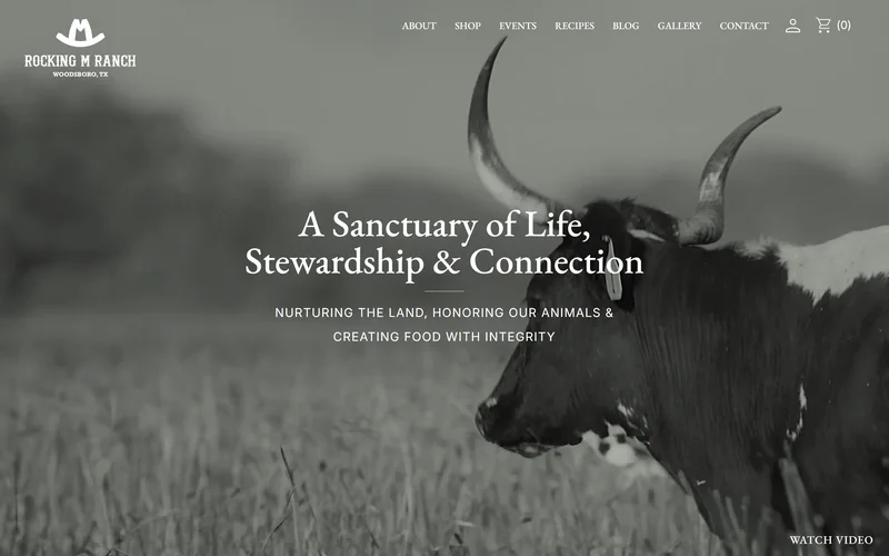 Rocking M Ranch homepage
